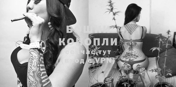 jwh Горняк