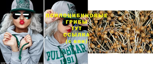 прущие крисы Гусев
