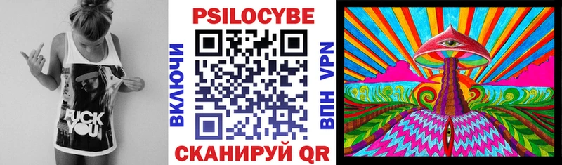 Галлюциногенные грибы Psilocybine cubensis Купить Циолковский